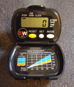 traditional-electronic-pedometer
